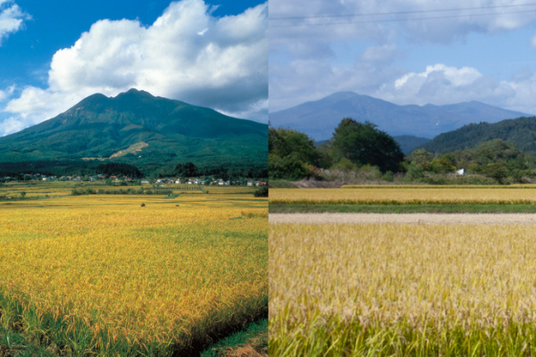 Aomori Sake by region