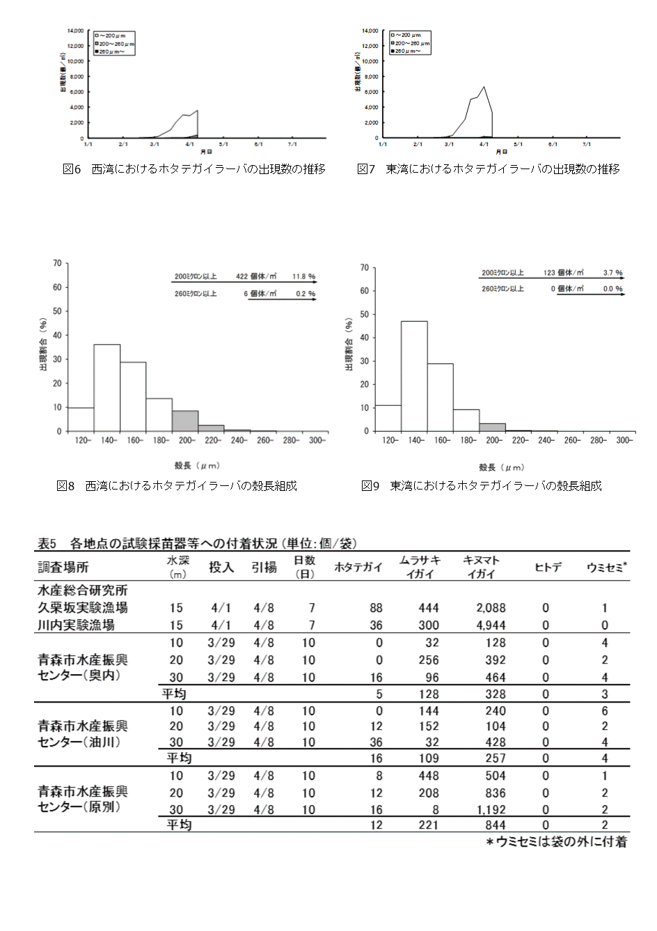 採苗速報第２号3