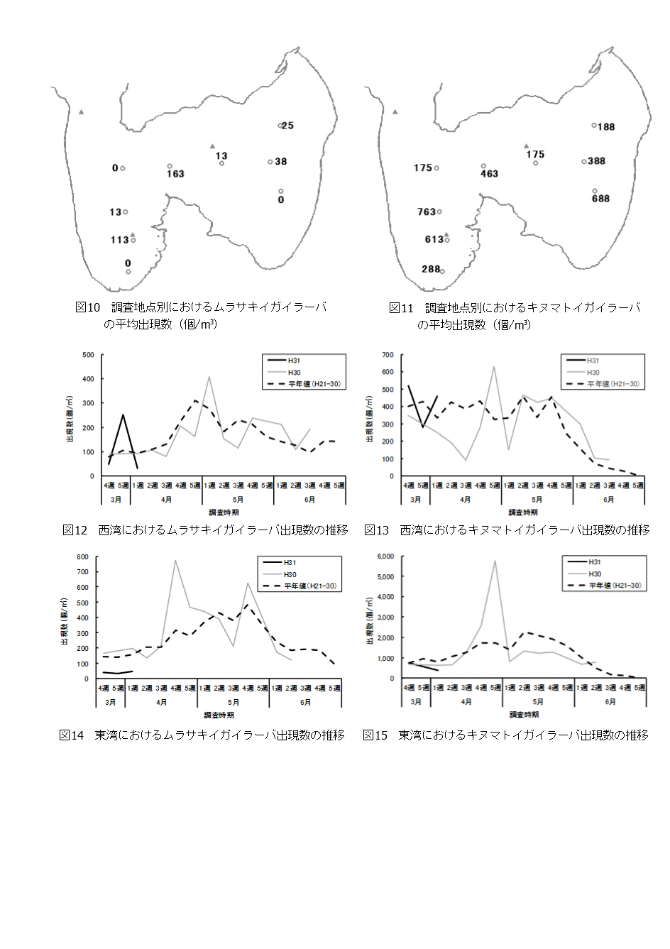 採苗速報第２号4