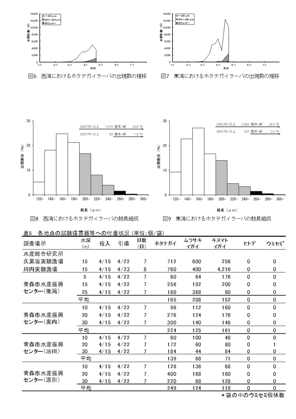 採苗速報第4号3