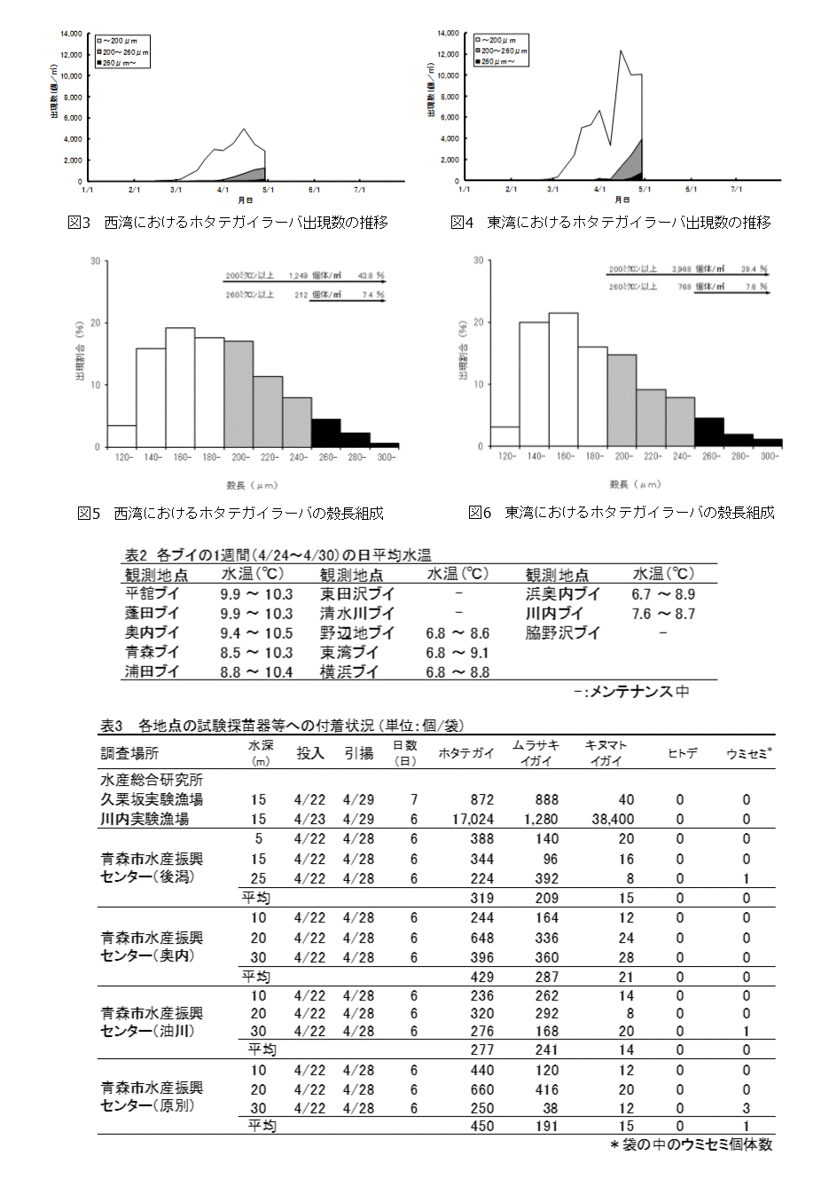 採苗速報第5号2