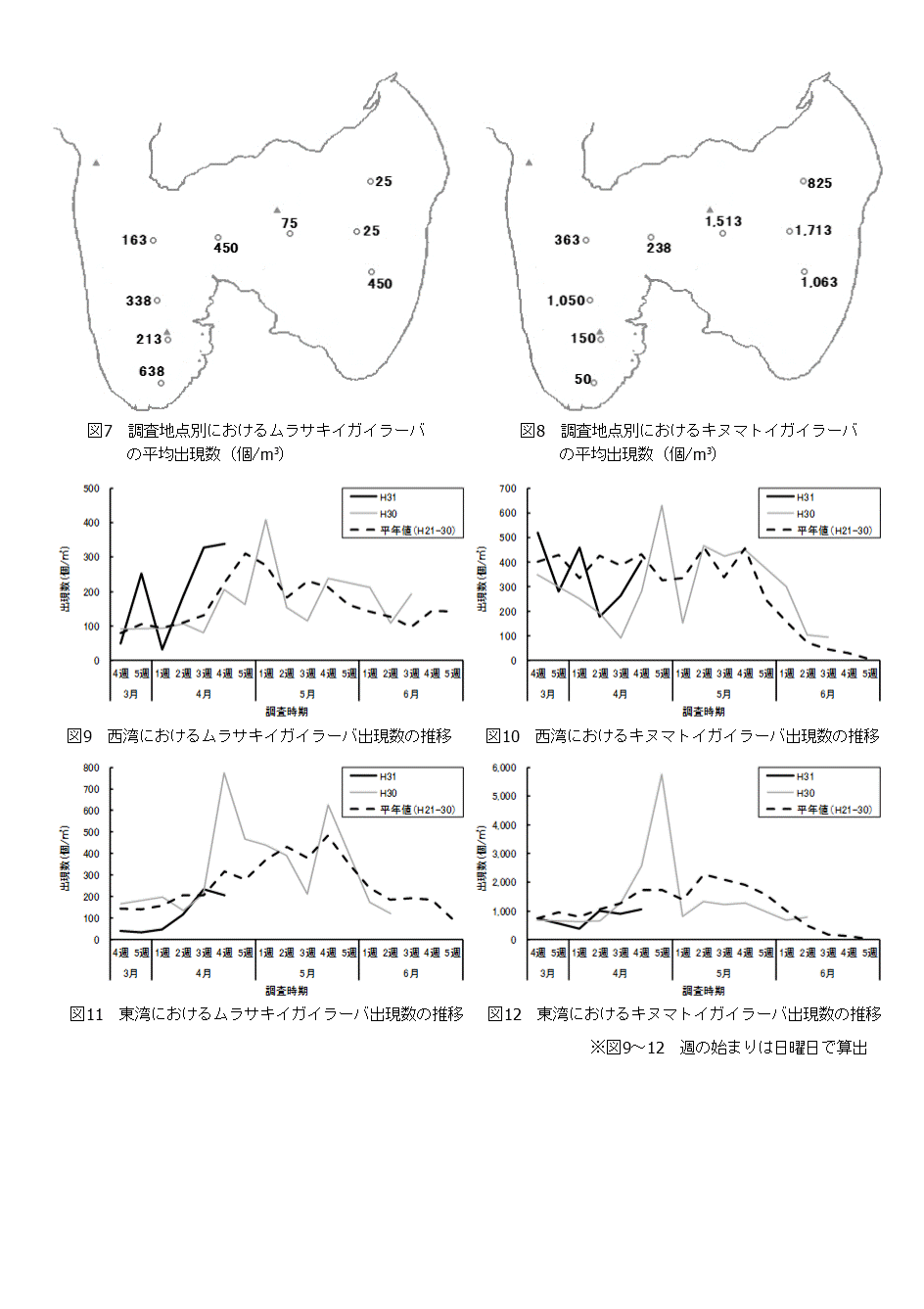 採苗速報第5号3