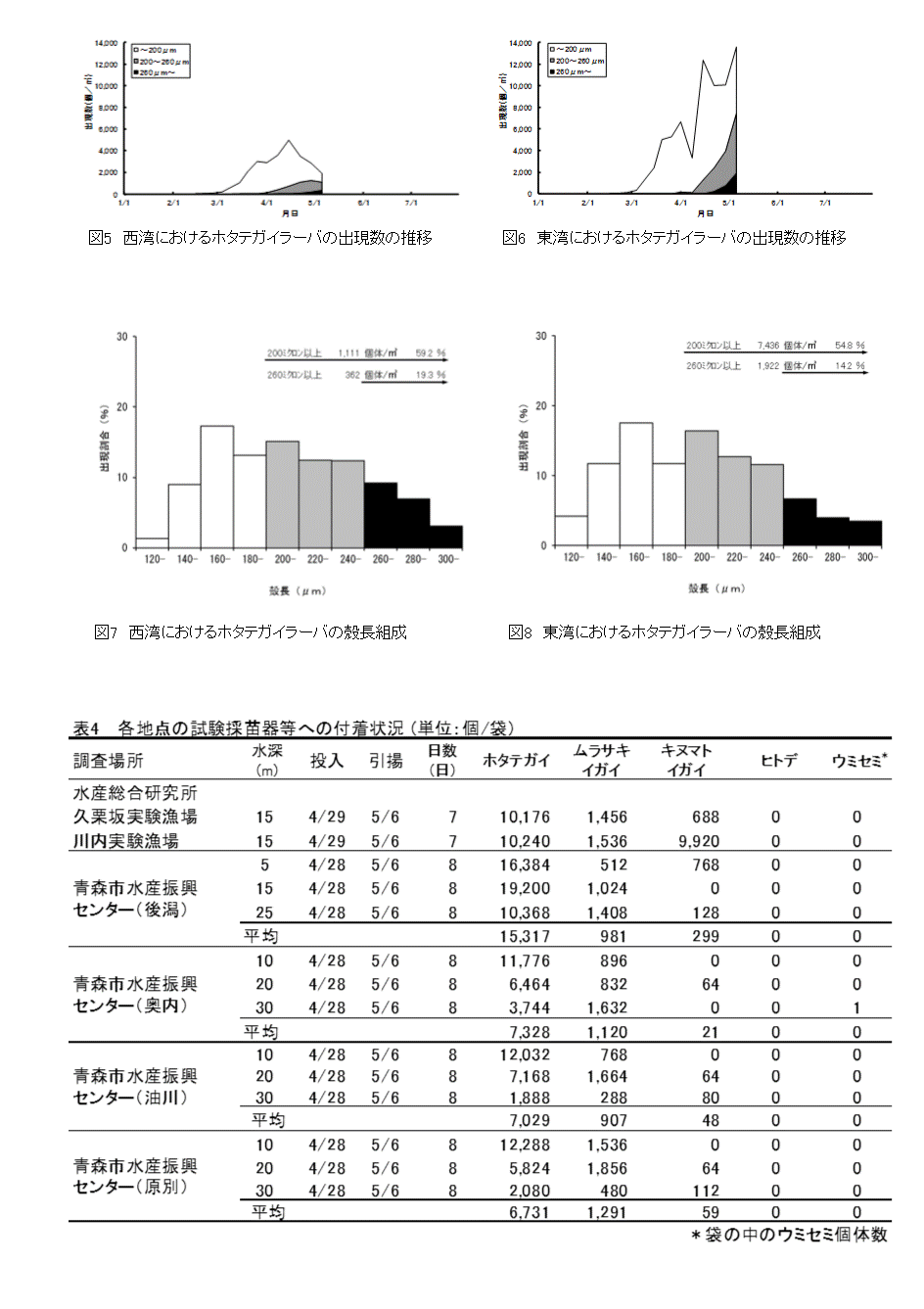 採苗速報第6号3