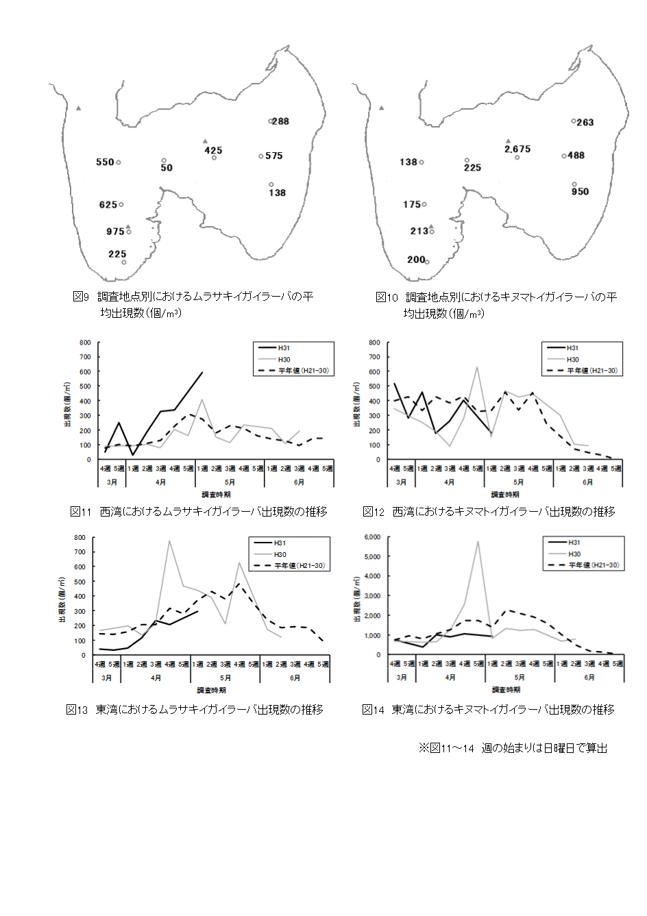 採苗速報第6号4