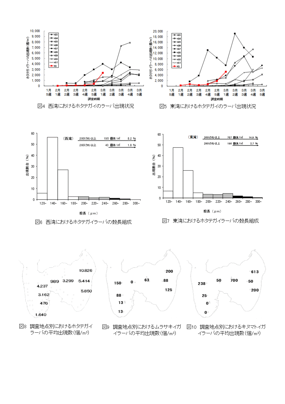 採苗速報第19号-2