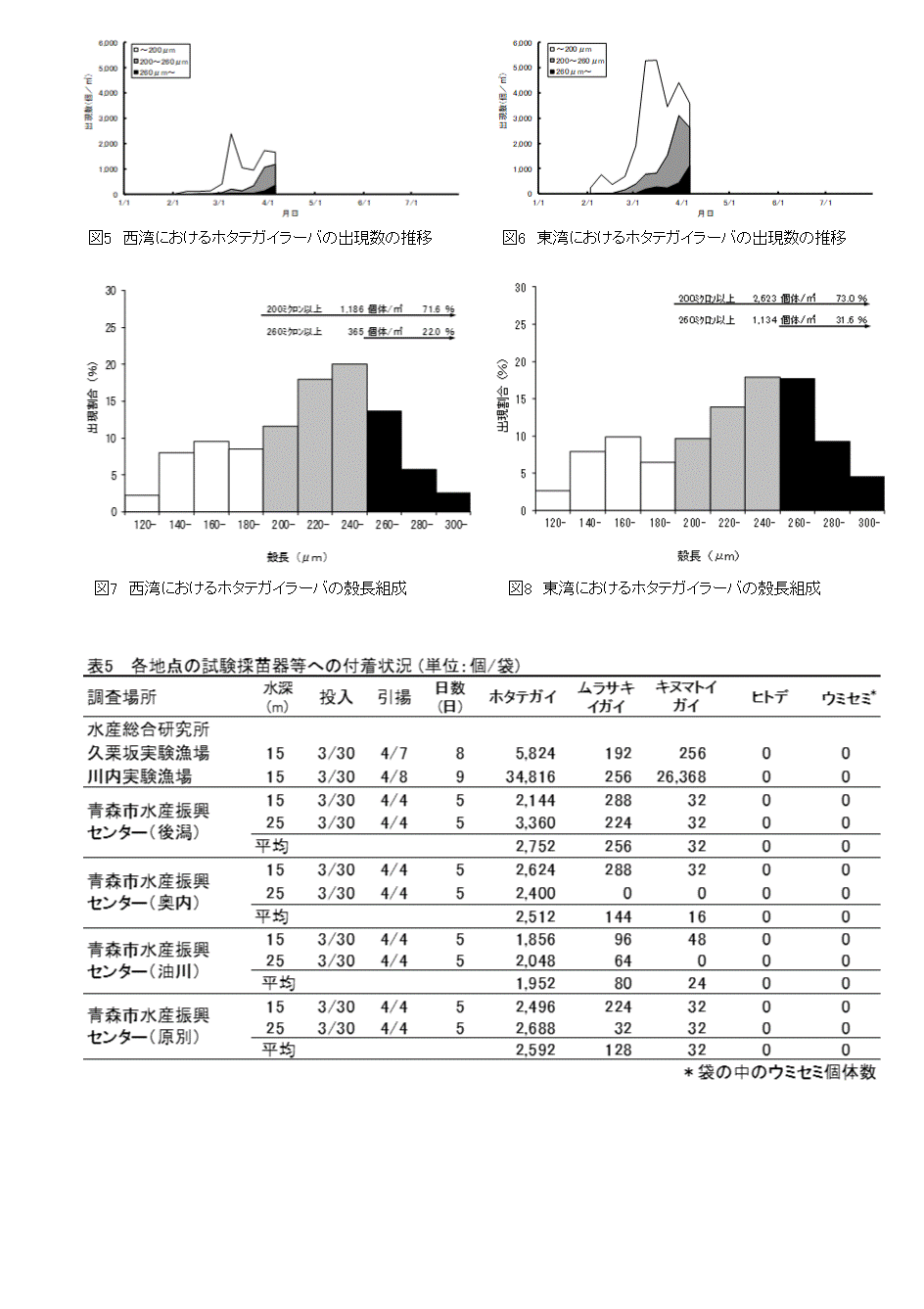 採苗速報第3号3