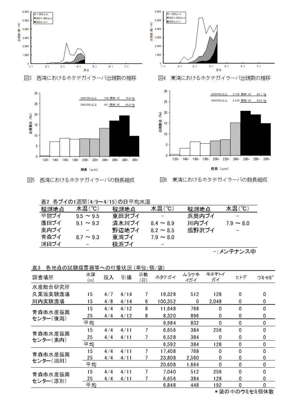 採苗速報4-2