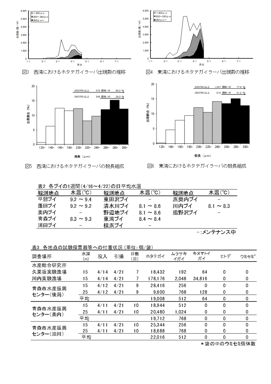 採苗速報第5号2