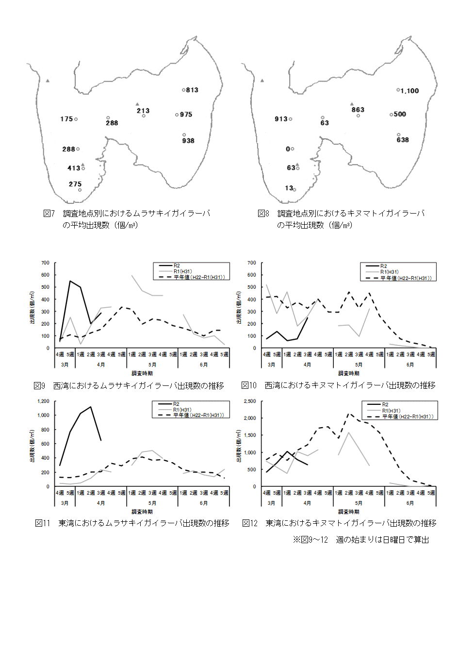 採苗速報第5号3