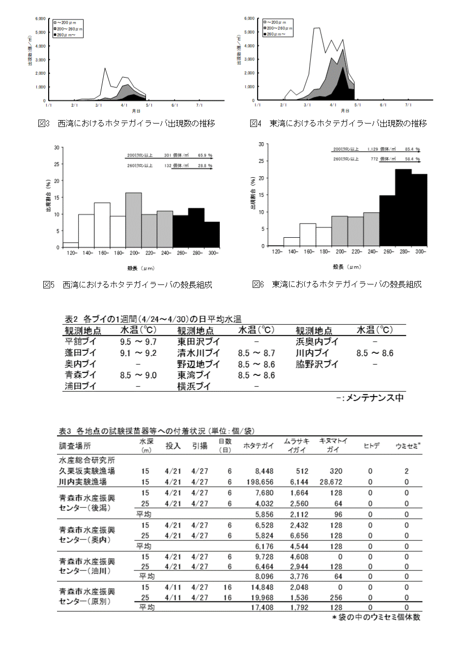 採苗速報第6号2