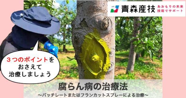 バッチレートによる腐らん病の治療