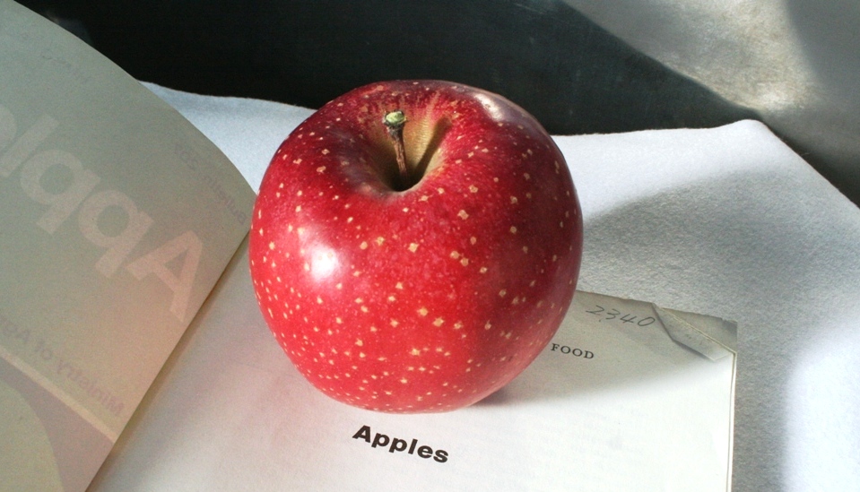 りんご「千雪」が世界的科学雑誌natureで紹介されました | 地方独立行政法人 青森県産業技術センター