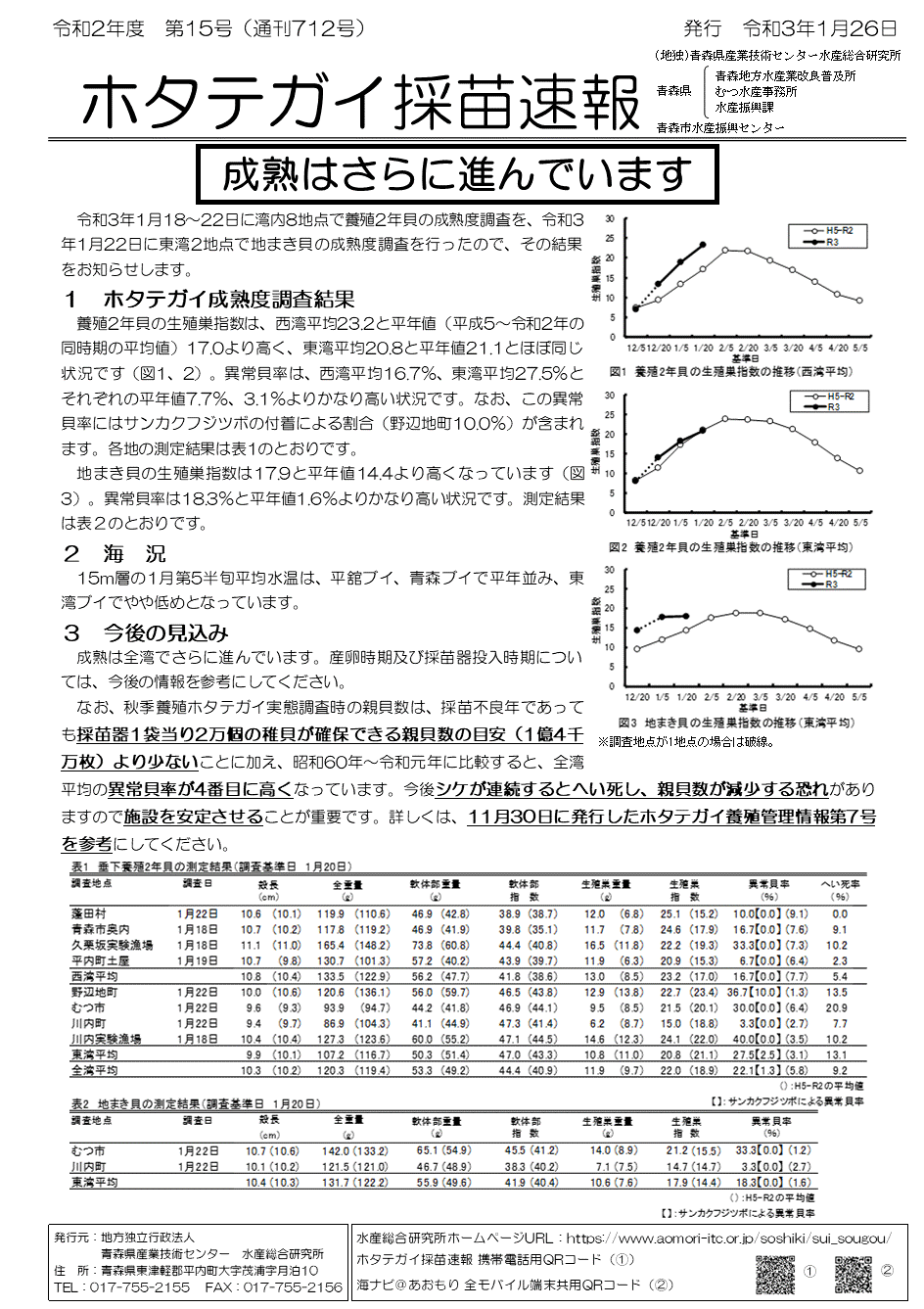 採苗速報第15号