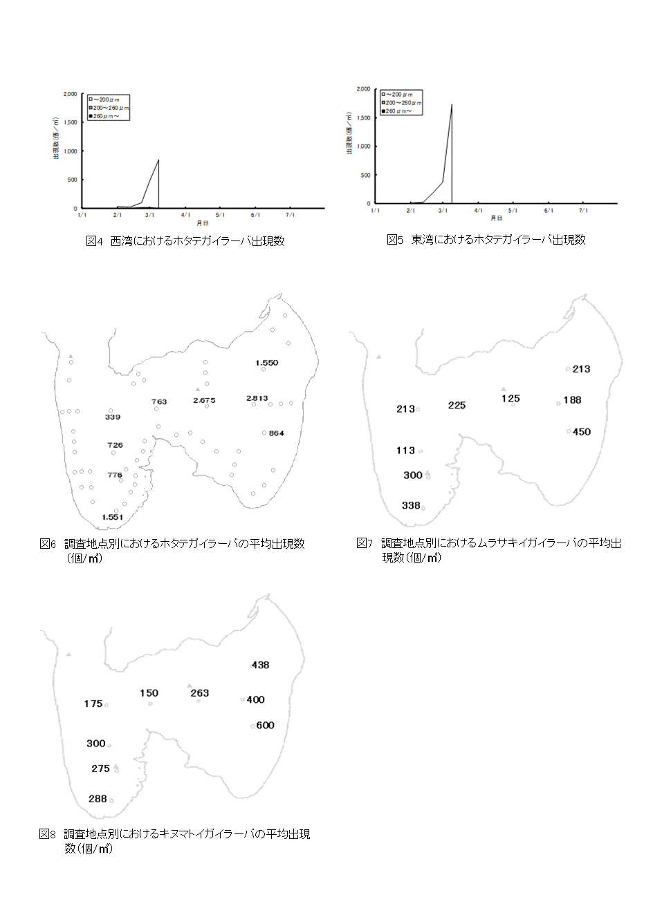 採苗速報第18号-2