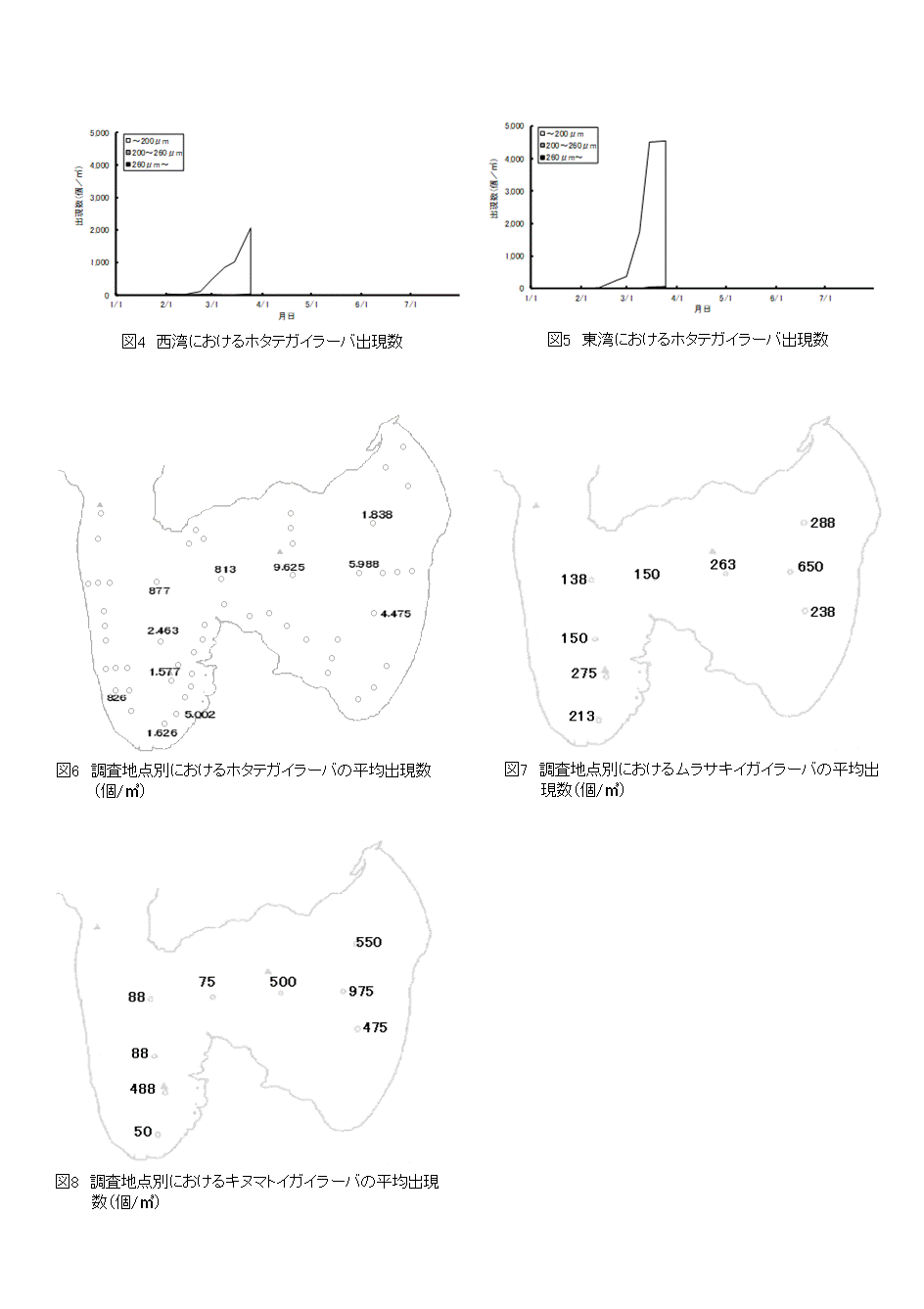 採苗速報第19号-2