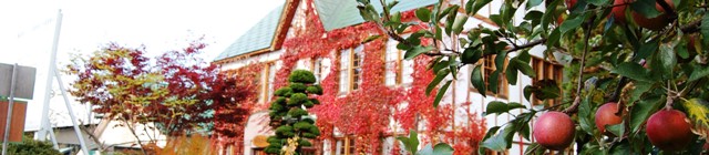 背景画像「秋のりんご史料館」