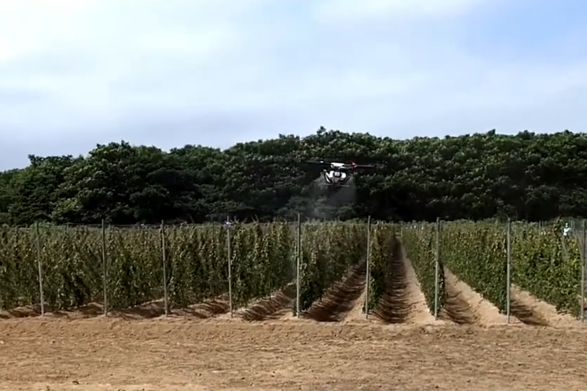 ドローンを活用してナガイモの病害虫防除を行う動画のサムネイル