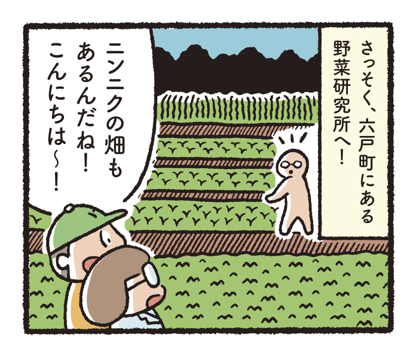研究開発物語野菜研2