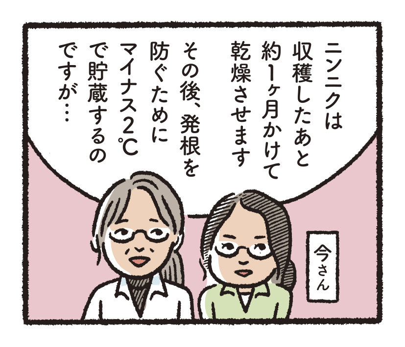 研究開発物語野菜研4