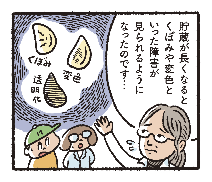 研究開発物語野菜研5