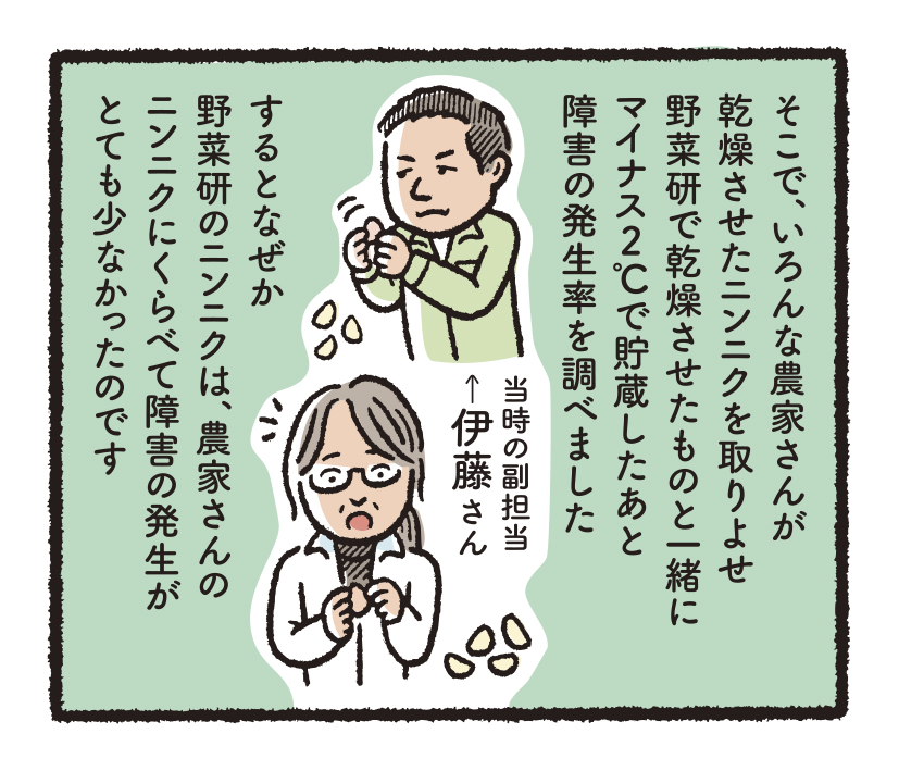 研究開発物語野菜研7