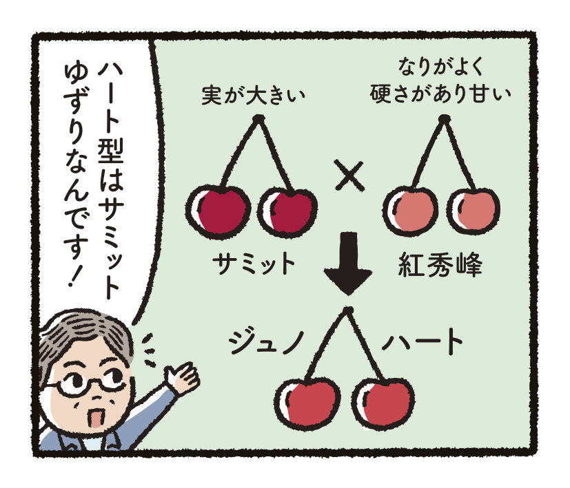 研究開発物語りんご研5