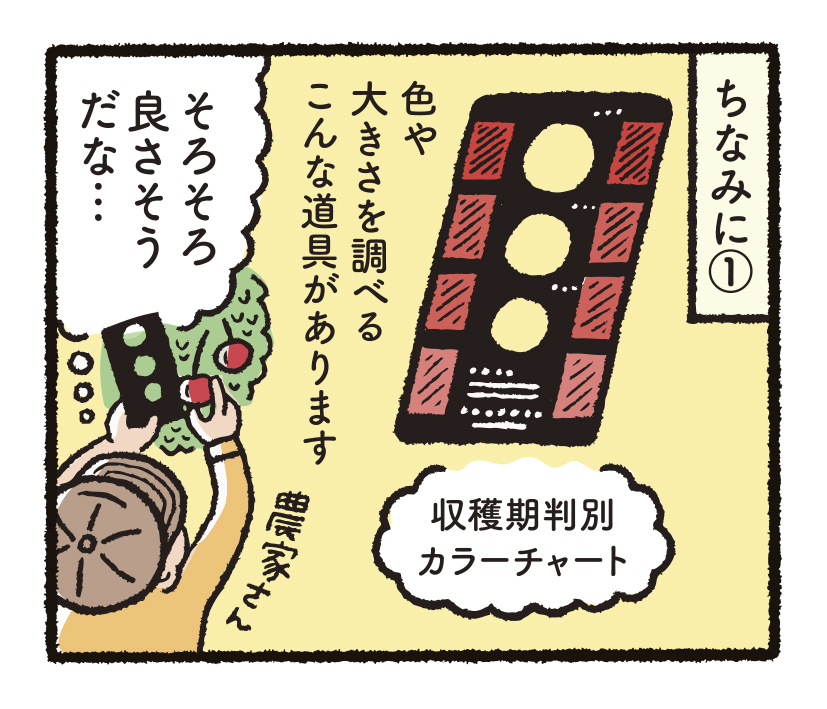 研究開発物語りんご研8