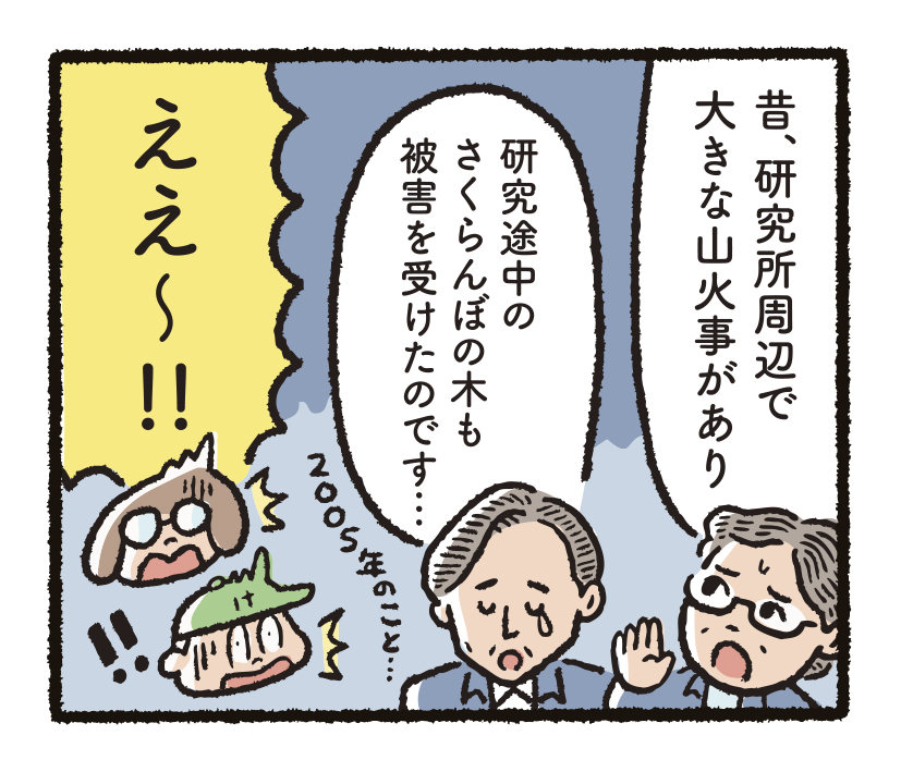 研究開発物語りんご研12