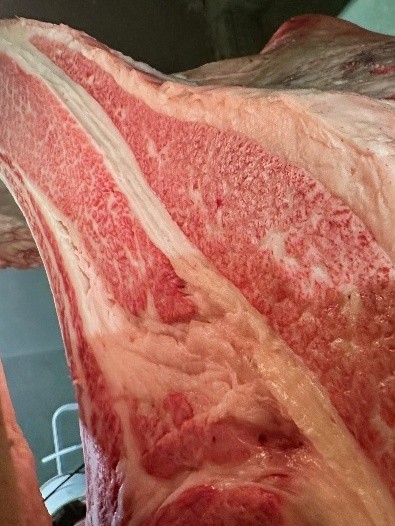 最優秀賞　枝肉写真2