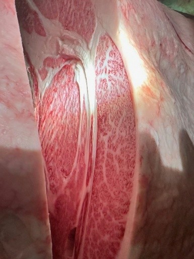 優秀賞　枝肉写真1