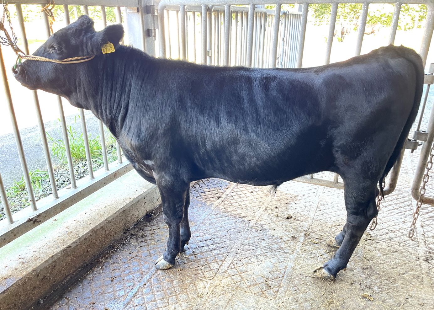 元清２ 直検終了時