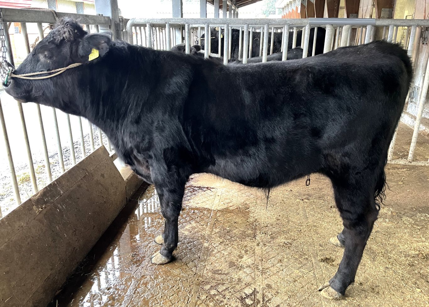 寿茂福 直検終了時