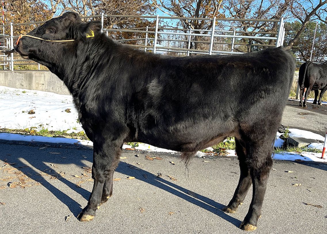 福百合 直検終了時