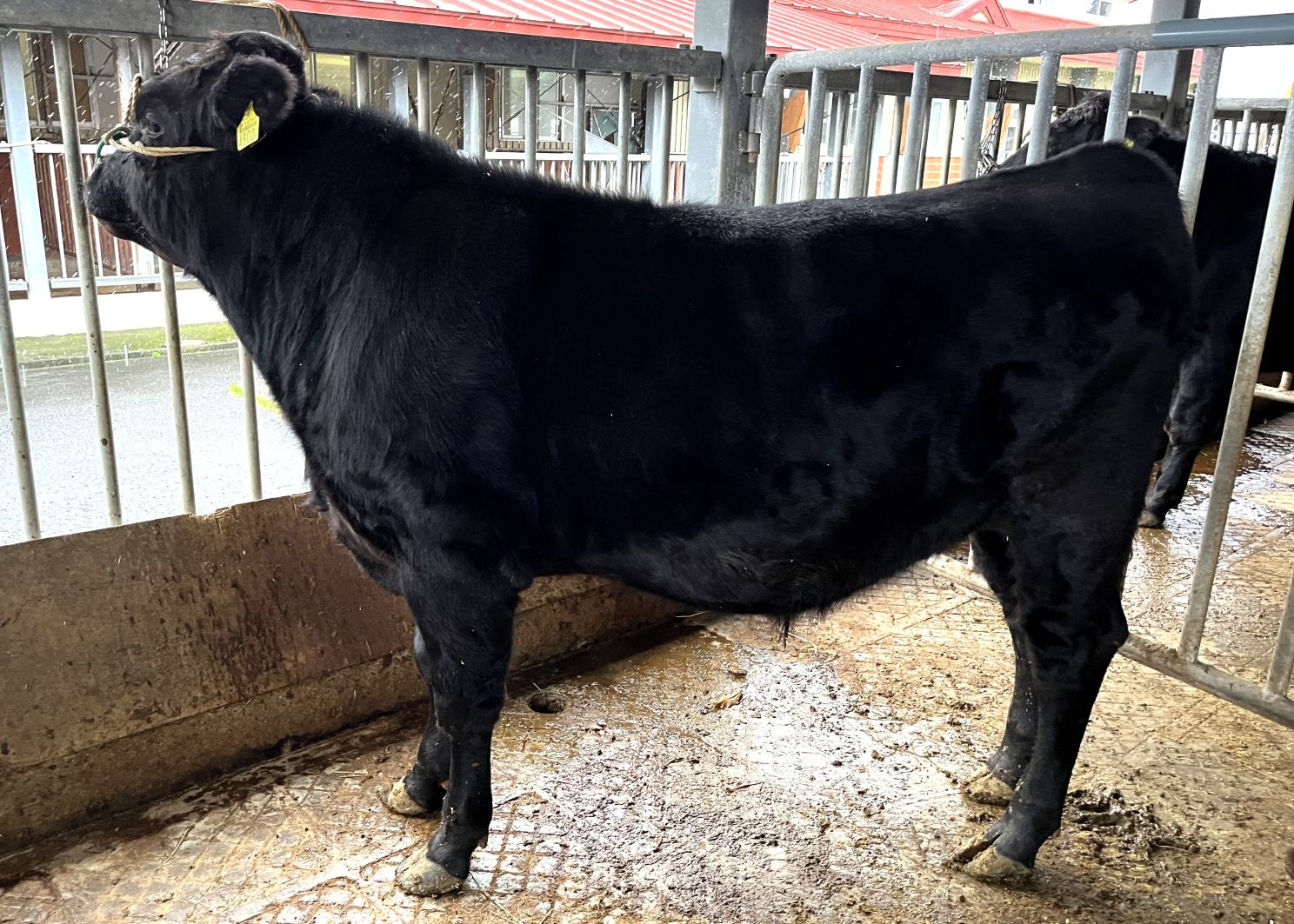 花忠光 直検終了時