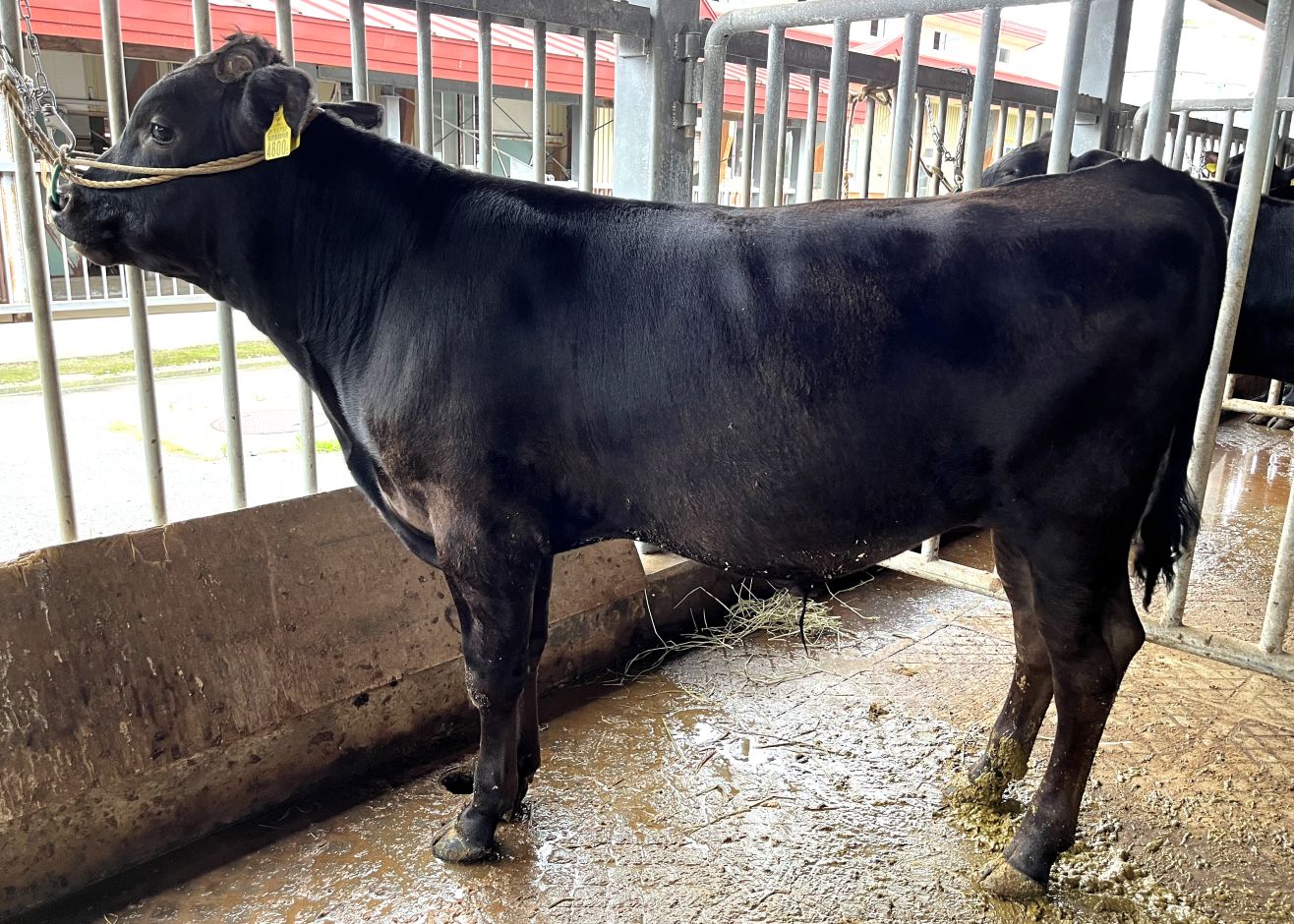 花忠光(開始時)