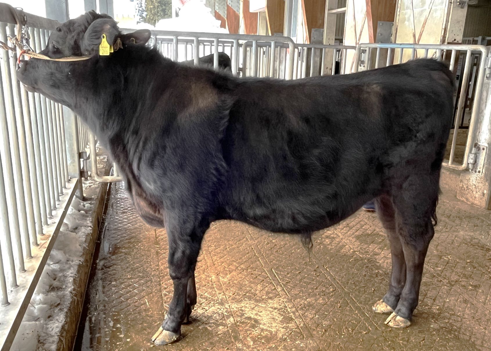 姫照昭 直検終了時