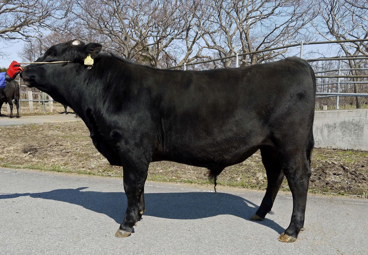 百合福姫 直検終了時