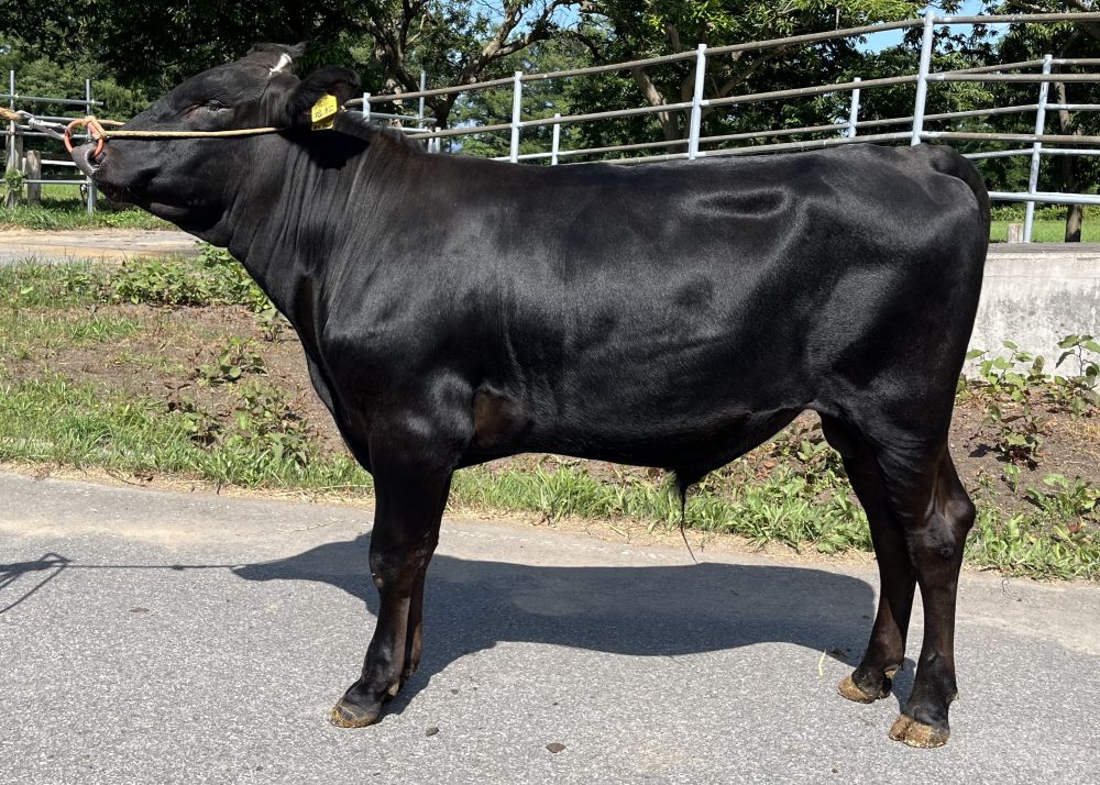 福松 直検終了時