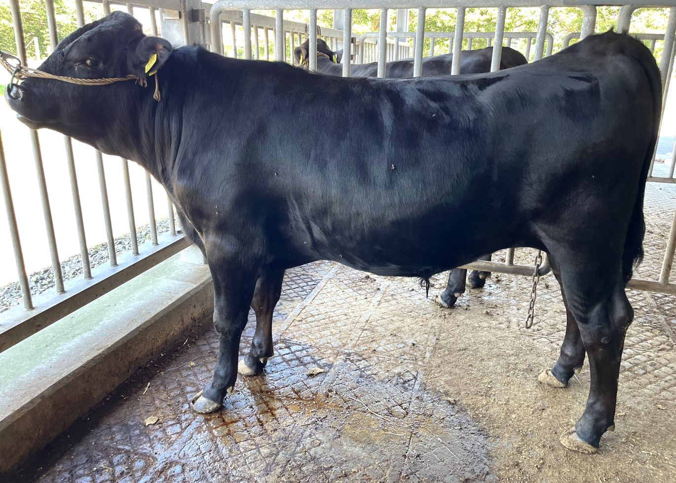 幸寿勝 直検終了時