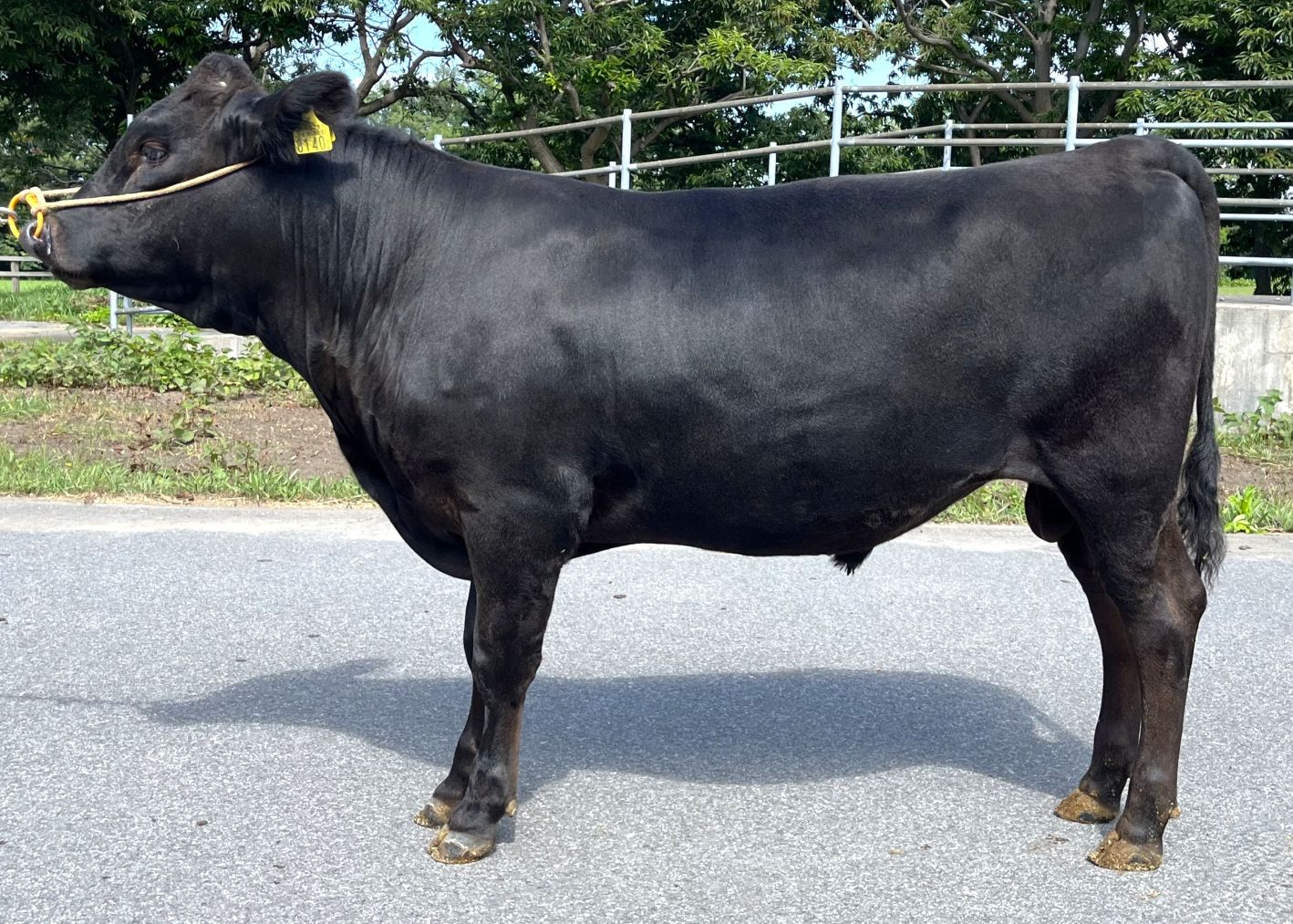 貴大 直検終了時