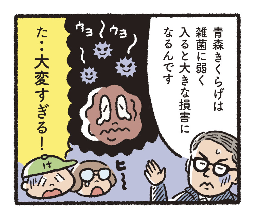 研究開発物語林業研08