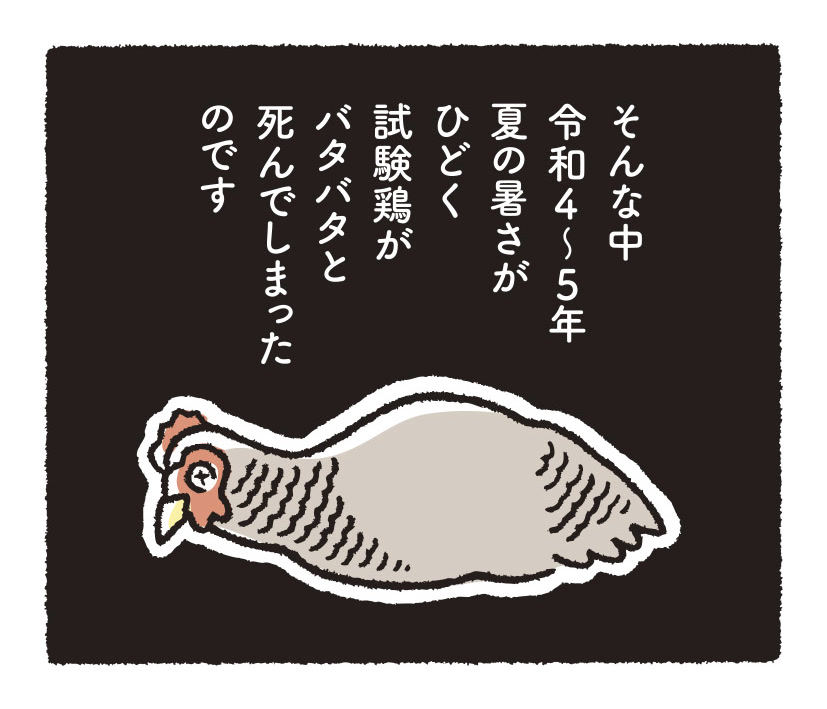 研究開発物語畜産研11