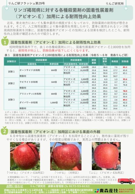 りんご研フラッシュ第28号PDFファイル