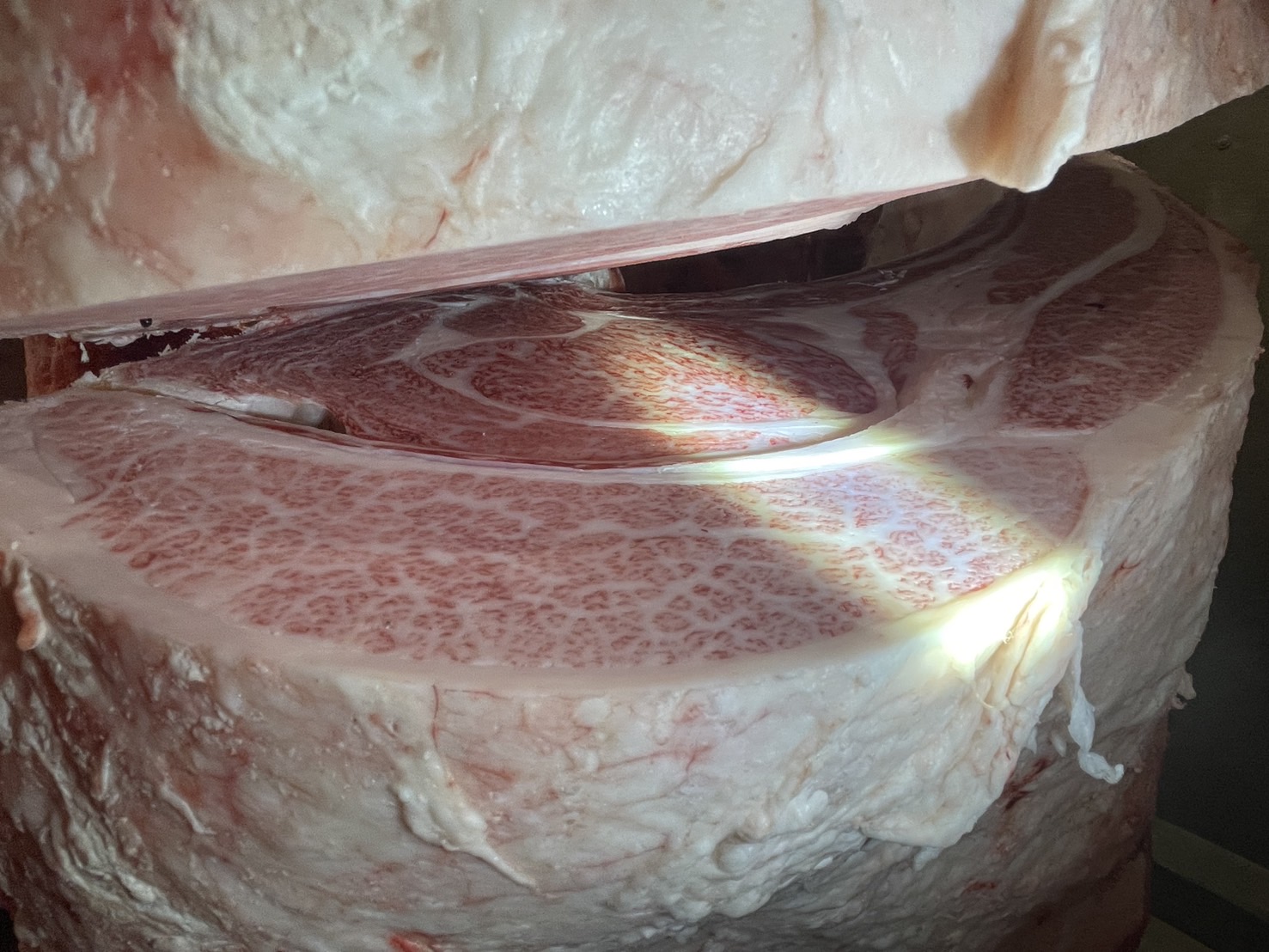 優良賞　枝肉写真